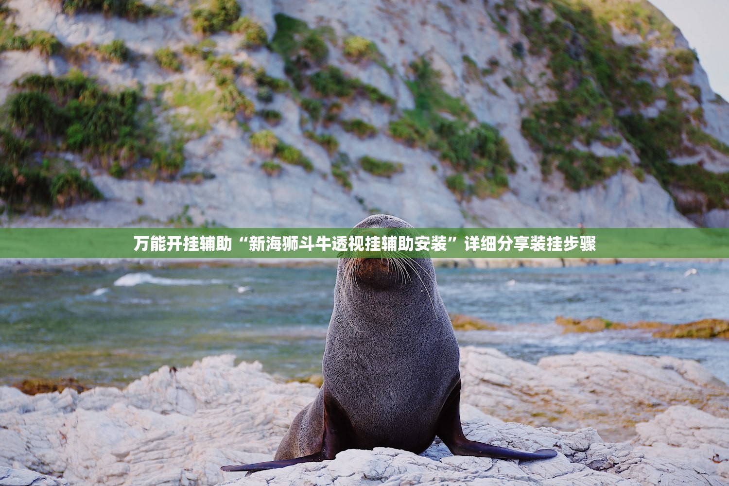 万能开挂辅助“新海狮斗牛透视挂辅助安装”详细分享装挂步骤