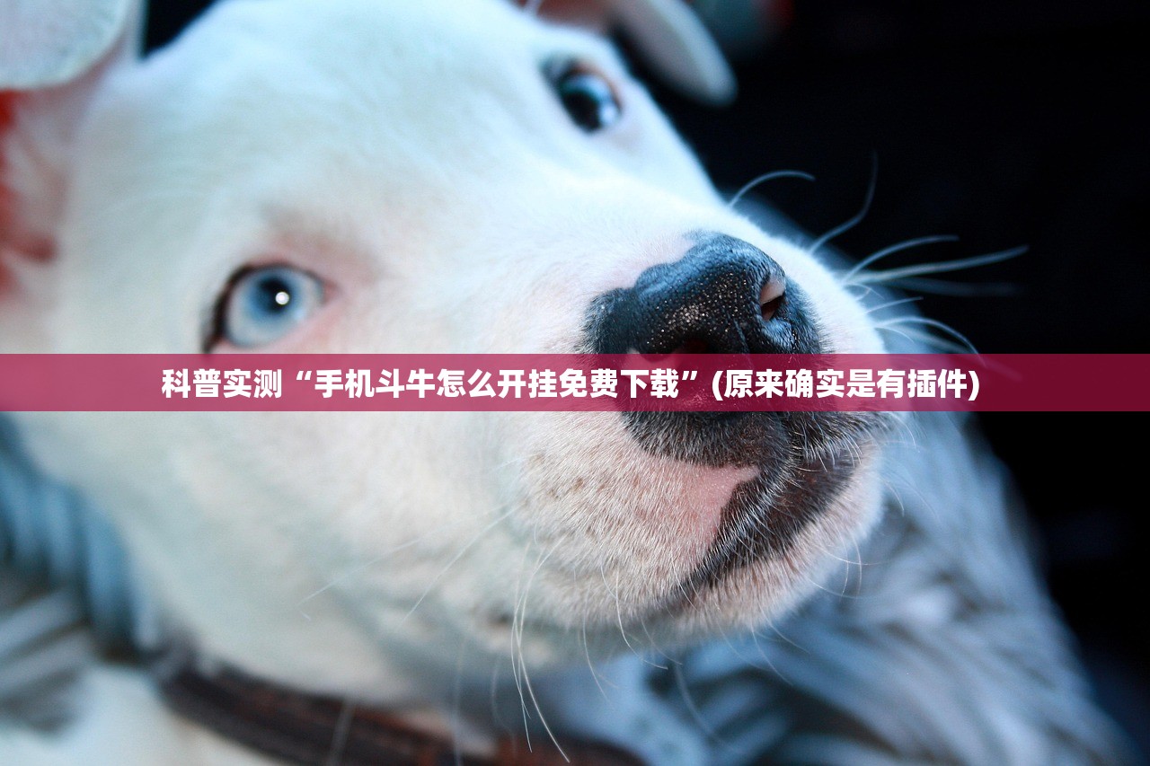 科普实测“手机斗牛怎么开挂免费下载	”(原来确实是有插件) 