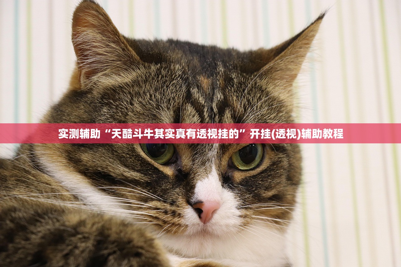 教程解析“梧桐树开挂安全吗	”开挂辅助详细步骤