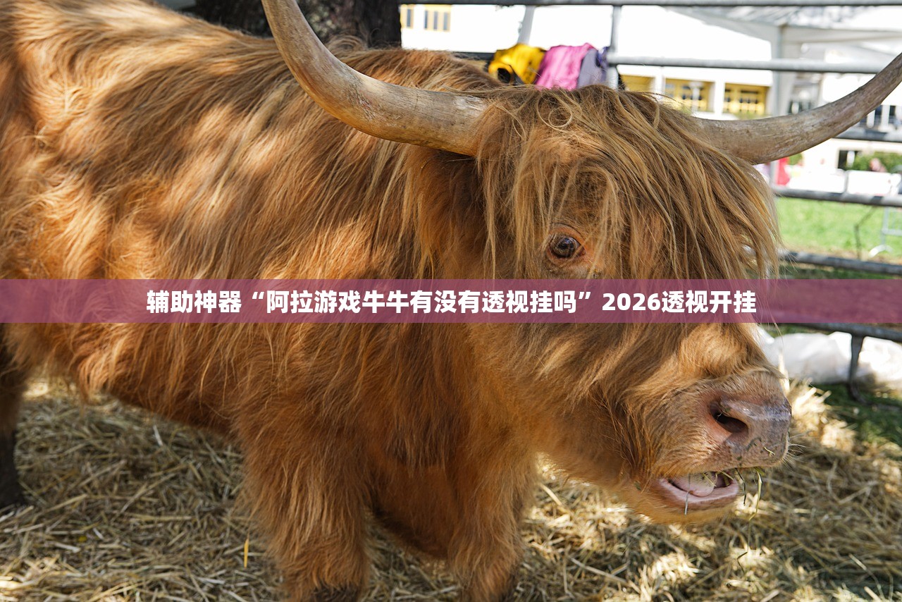 辅助神器“阿拉游戏牛牛有没有透视挂吗	”2026透视开挂