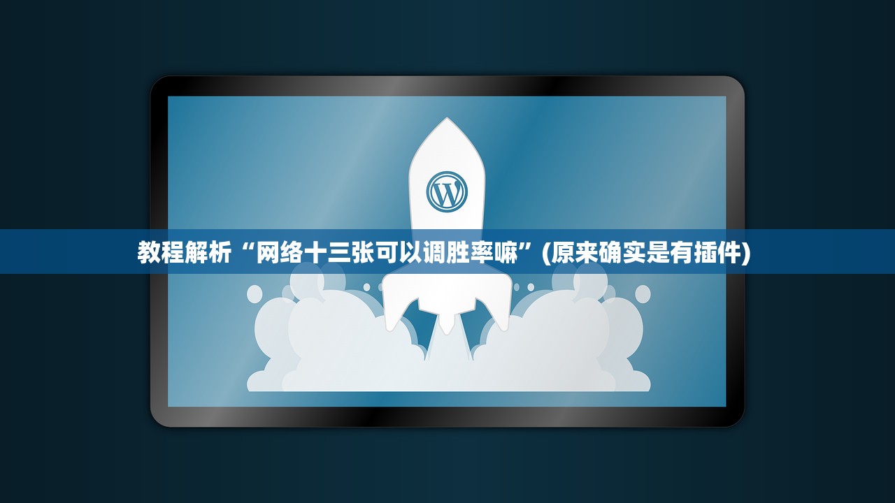 教程解析“网络十三张可以调胜率嘛”(原来确实是有插件) 