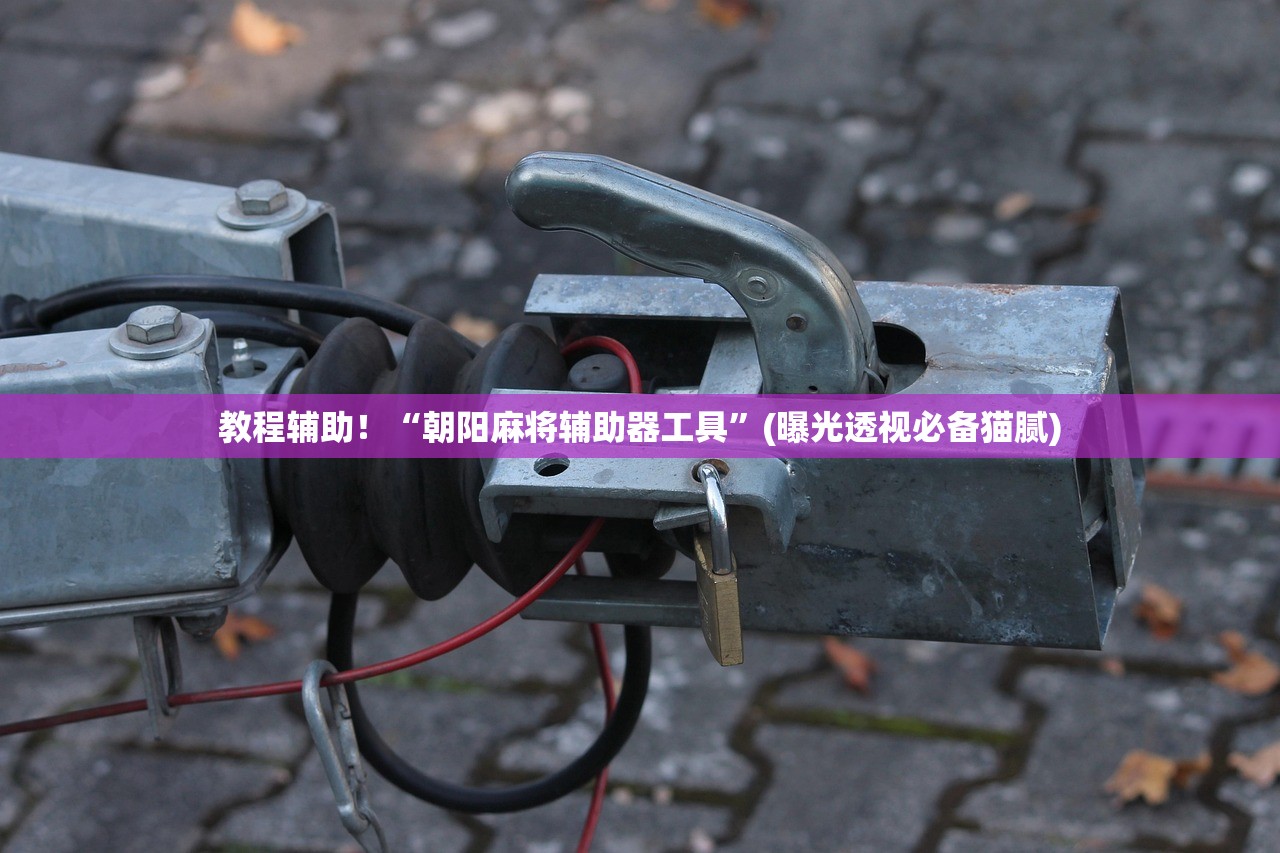 教程辅助！“朝阳麻将辅助器工具”(曝光透视必备猫腻)