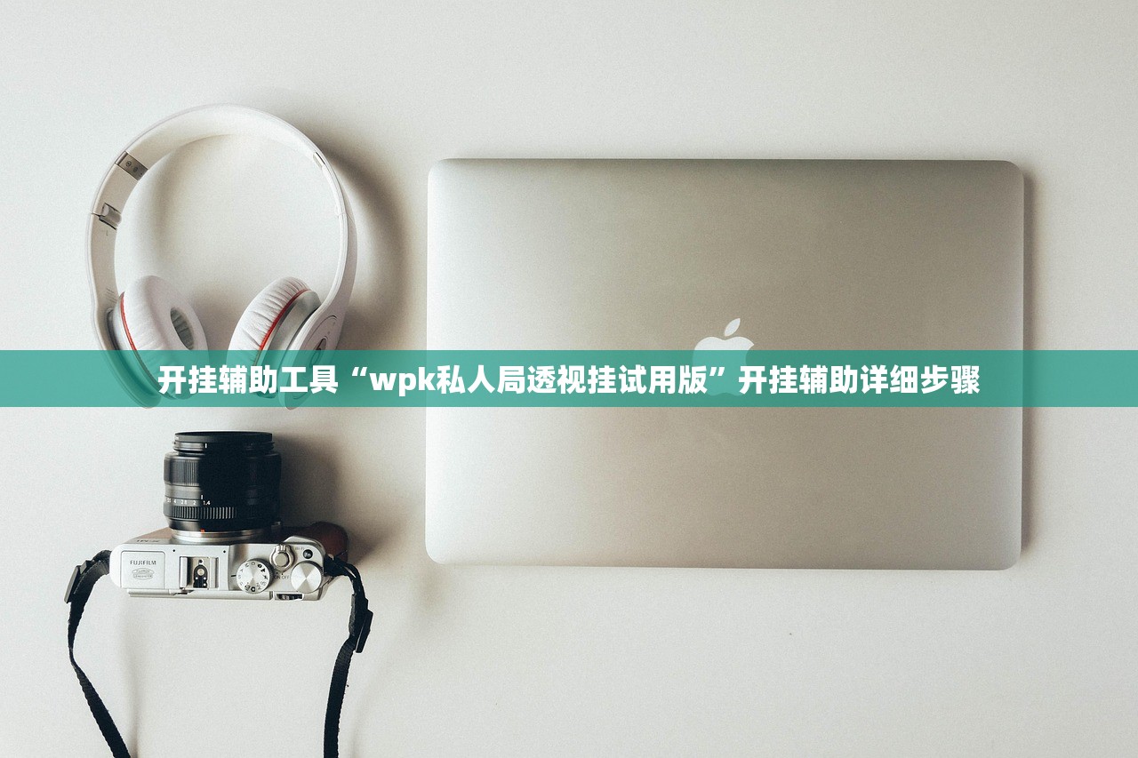 开挂辅助工具“wpk私人局透视挂试用版”开挂辅助详细步骤
