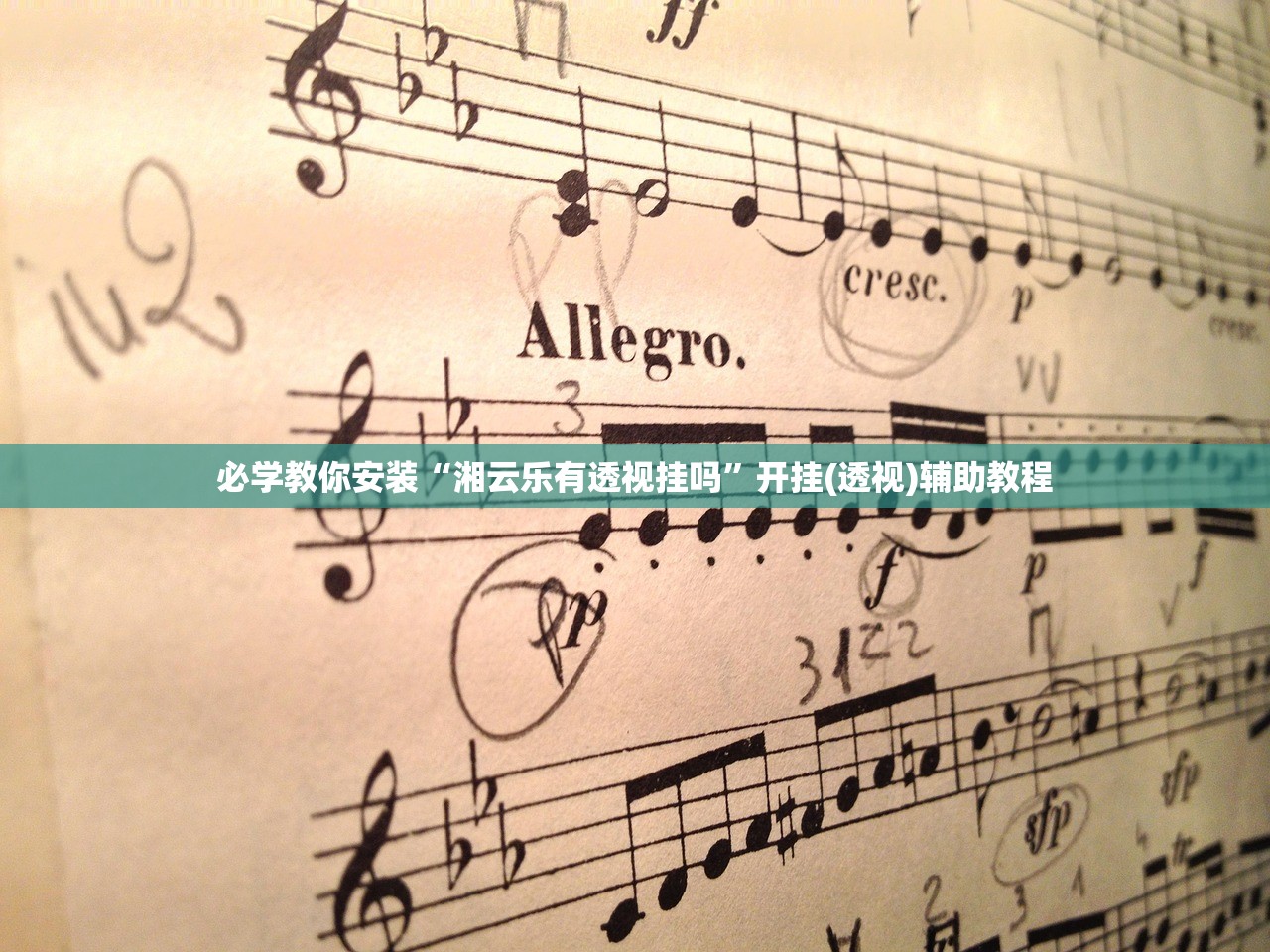 必学教你安装“湘云乐有透视挂吗”开挂(透视)辅助教程