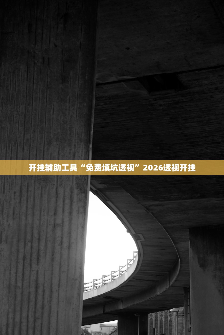 开挂辅助工具“免费填坑透视	”2026透视开挂