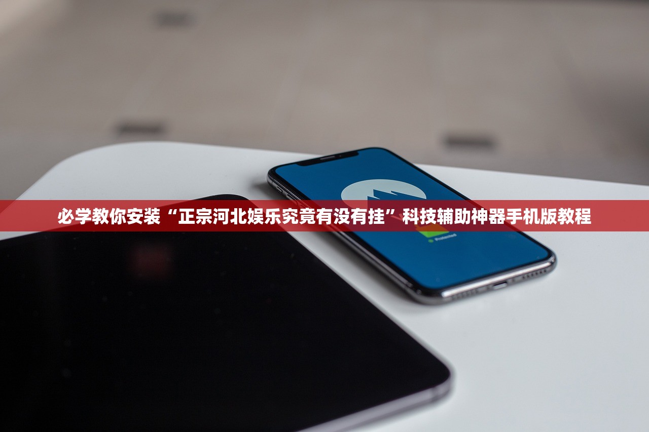 必学教你安装“正宗河北娱乐究竟有没有挂”科技辅助神器手机版教程