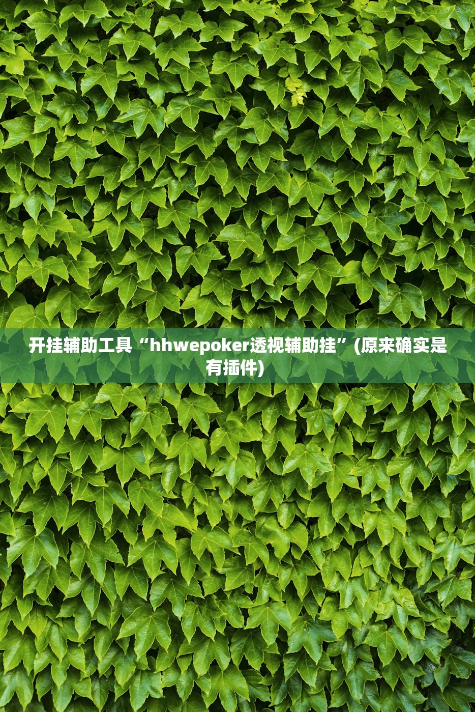开挂辅助工具“hhwepoker透视辅助挂”(原来确实是有插件) 