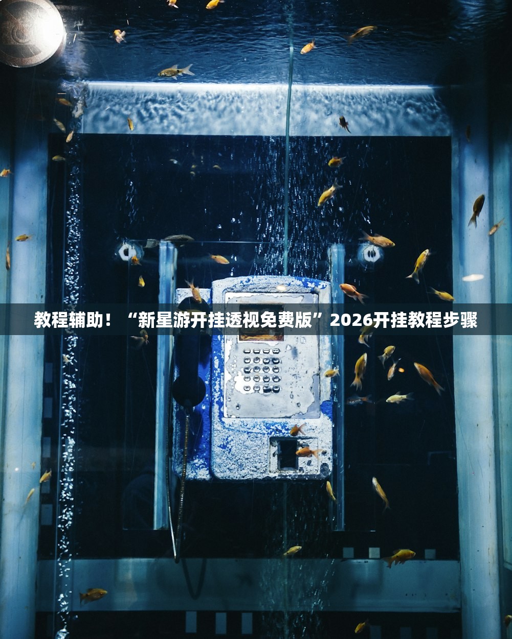 教程辅助！“新星游开挂透视免费版	”2026开挂教程步骤