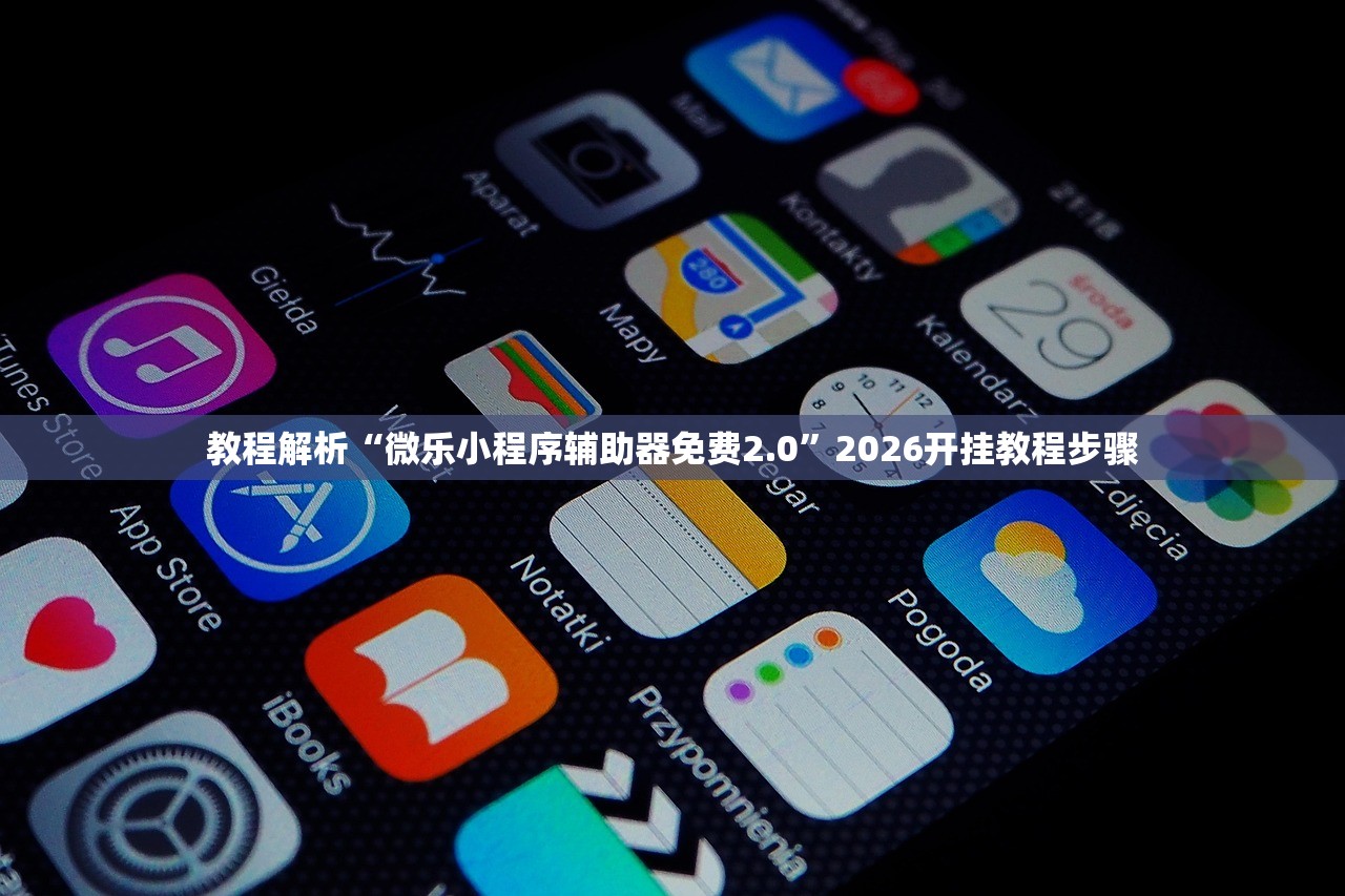 教程解析“微乐小程序辅助器免费2.0	”2026开挂教程步骤