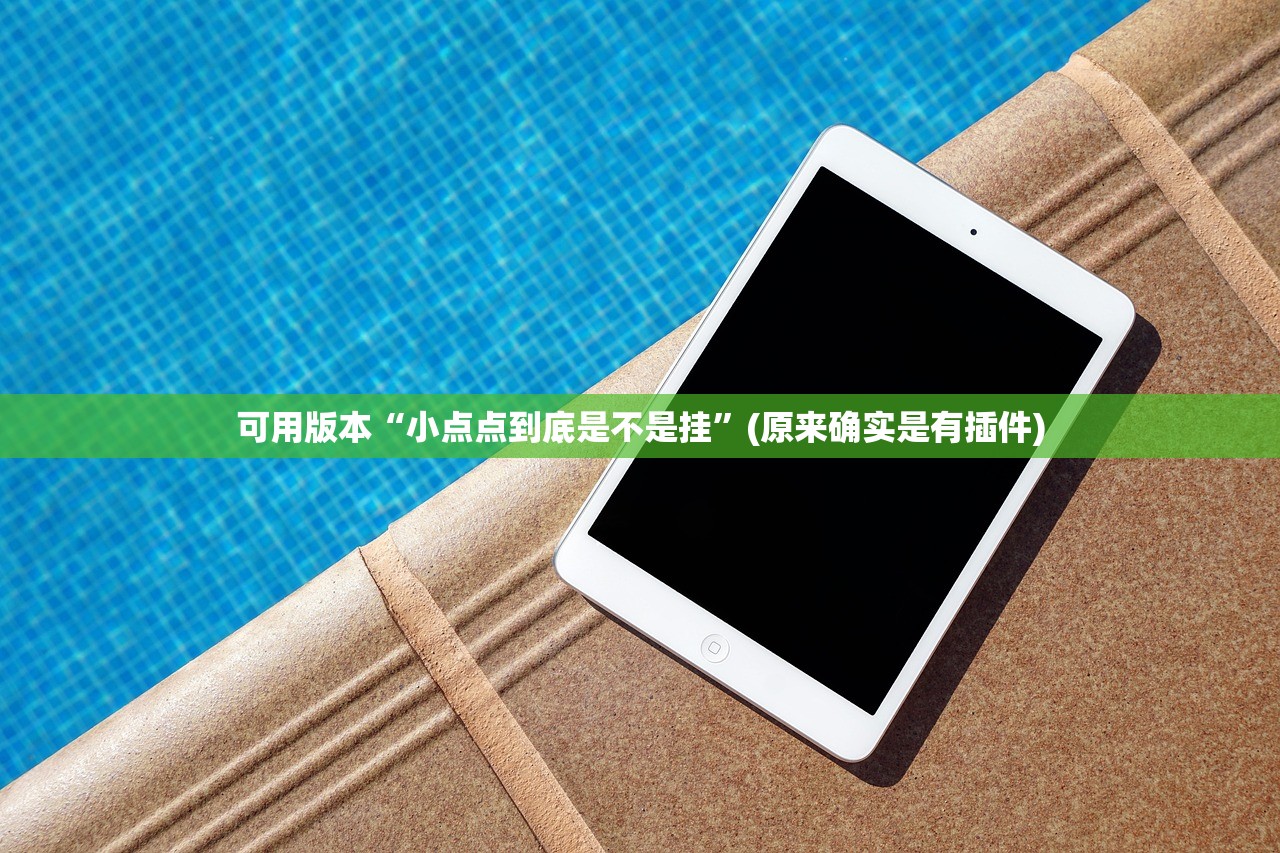 可用版本“小点点到底是不是挂”(原来确实是有插件)