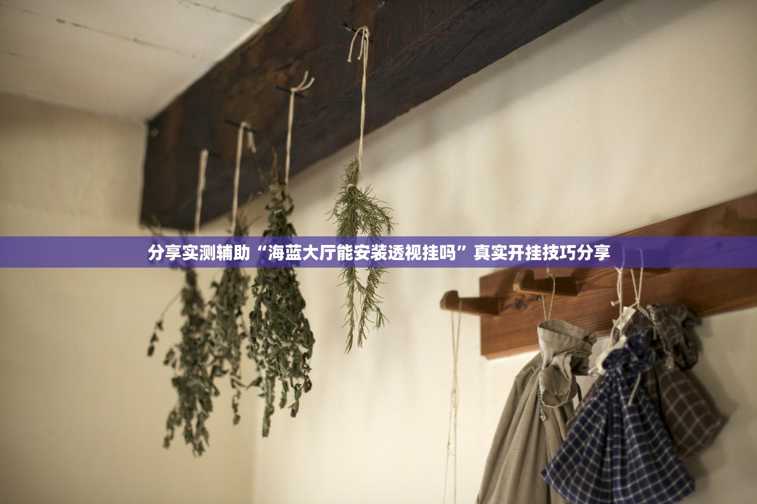 分享实测辅助“海蓝大厅能安装透视挂吗”真实开挂技巧分享