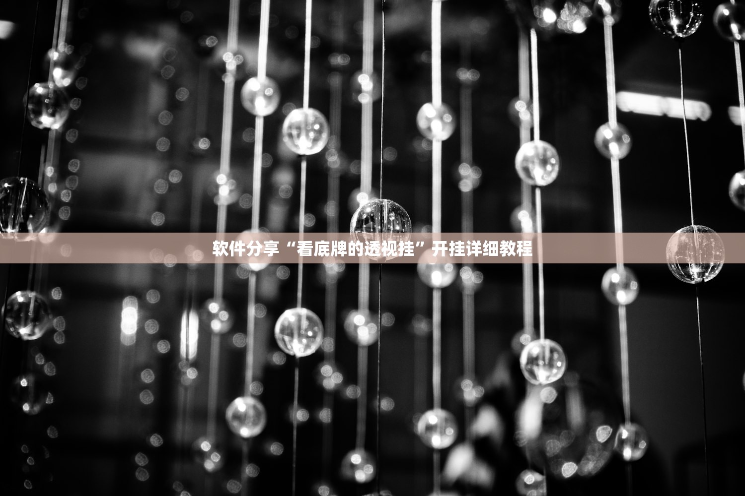 软件分享“看底牌的透视挂”开挂详细教程