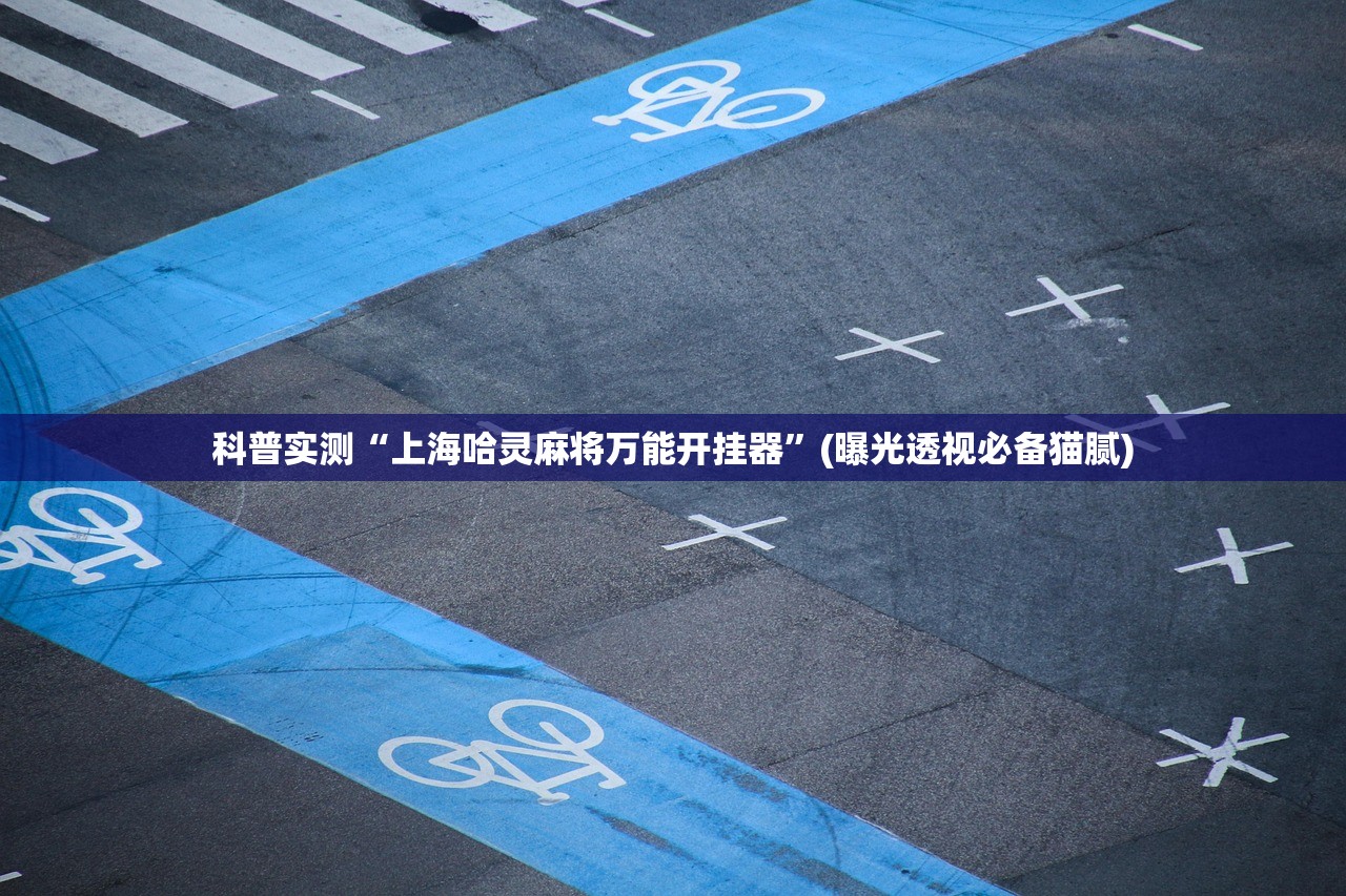 科普实测“上海哈灵麻将万能开挂器	”(曝光透视必备猫腻)